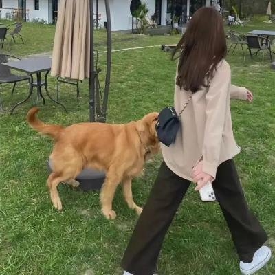 香闺荡妇